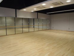 Mirfield Grammar Sports Centre